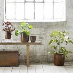 Knabstrup Keramik Pickle Pot 0,5 L 5 Knabstrup Keramik Pickle Pot 0,5 L -Keukenbenodigdheden Winkel 33557 01 02 4cd7c4b78e