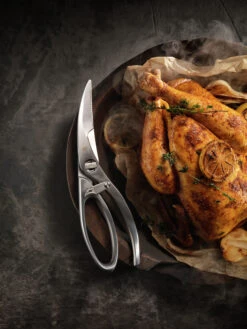 Zwilling Twin Select Gevogelteschaar 5 Zwilling Twin Select Gevogelteschaar -Keukenbenodigdheden Winkel 509081 01 20 EnvironmentImage 4f630d53c9