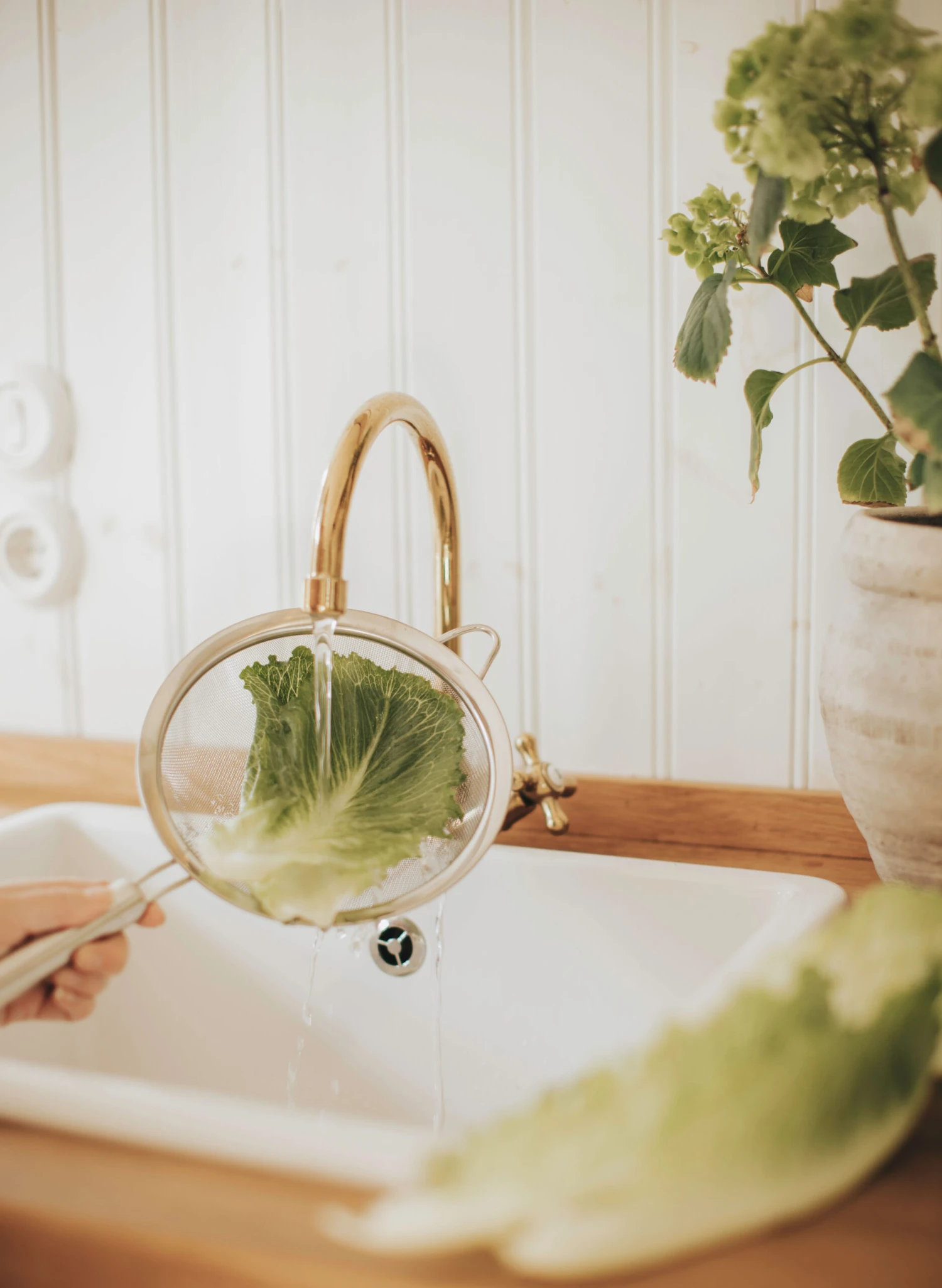 Dorre Pia Zeef Ø20 Cm 4 Dorre Pia Zeef Ø20 Cm - Afbeelding 2